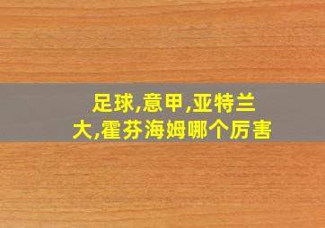 足球,意甲,亚特兰大,霍芬海姆哪个厉害