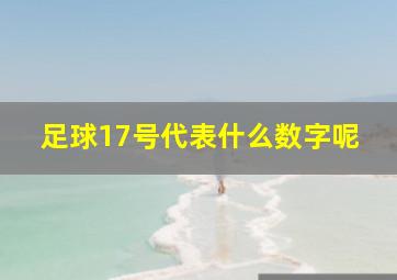 足球17号代表什么数字呢