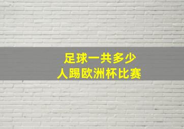 足球一共多少人踢欧洲杯比赛