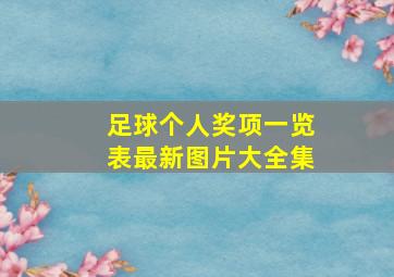 足球个人奖项一览表最新图片大全集