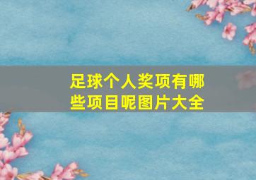 足球个人奖项有哪些项目呢图片大全