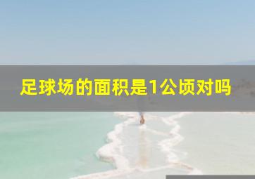 足球场的面积是1公顷对吗