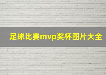 足球比赛mvp奖杯图片大全