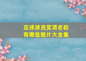 足球球员奖项名称有哪些图片大全集