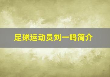 足球运动员刘一鸣简介