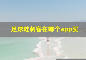 足球鞋刺客在哪个app买