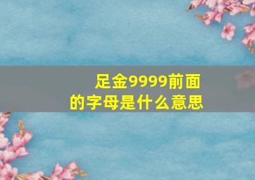 足金9999前面的字母是什么意思