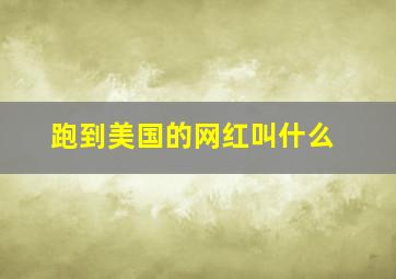 跑到美国的网红叫什么