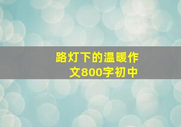 路灯下的温暖作文800字初中