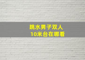 跳水男子双人10米台在哪看