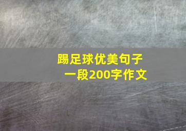 踢足球优美句子一段200字作文