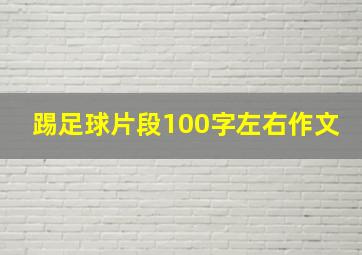 踢足球片段100字左右作文