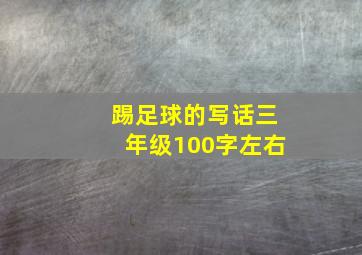 踢足球的写话三年级100字左右