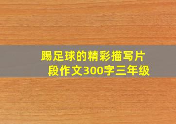 踢足球的精彩描写片段作文300字三年级