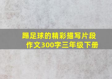 踢足球的精彩描写片段作文300字三年级下册