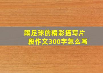 踢足球的精彩描写片段作文300字怎么写