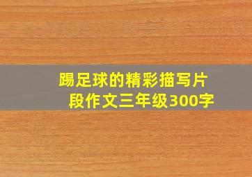 踢足球的精彩描写片段作文三年级300字