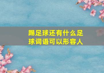 踢足球还有什么足球词语可以形容人