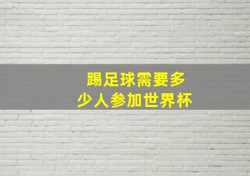 踢足球需要多少人参加世界杯