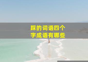 踩的词语四个字成语有哪些