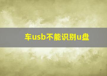 车usb不能识别u盘