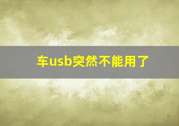 车usb突然不能用了