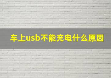 车上usb不能充电什么原因