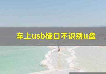 车上usb接口不识别u盘