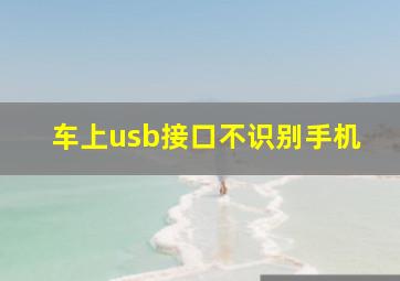 车上usb接口不识别手机