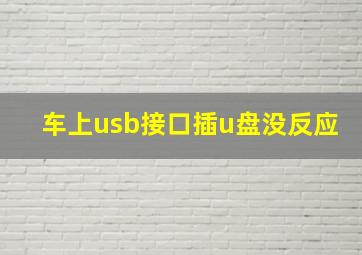 车上usb接口插u盘没反应