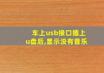 车上usb接口插上u盘后,显示没有音乐