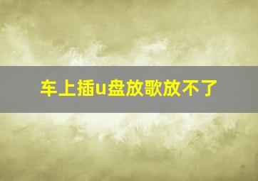 车上插u盘放歌放不了