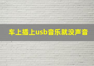 车上插上usb音乐就没声音