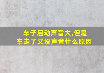 车子启动声音大,但是车走了又没声音什么原因