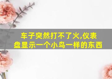 车子突然打不了火,仪表盘显示一个小鸟一样的东西