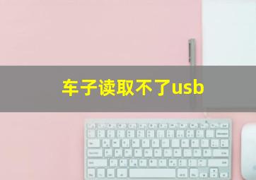 车子读取不了usb