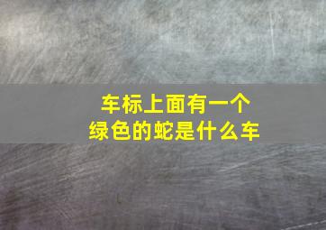 车标上面有一个绿色的蛇是什么车