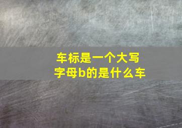 车标是一个大写字母b的是什么车