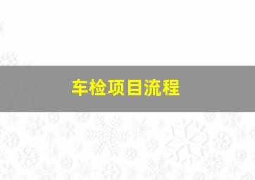 车检项目流程