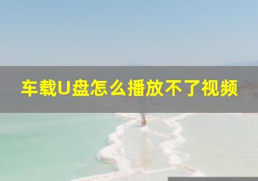 车载U盘怎么播放不了视频