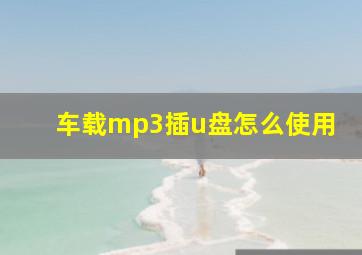 车载mp3插u盘怎么使用