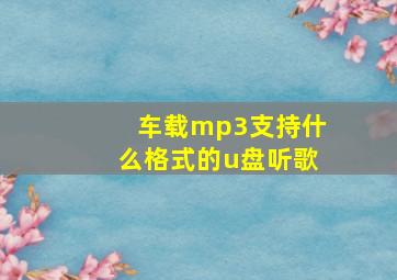 车载mp3支持什么格式的u盘听歌