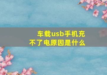 车载usb手机充不了电原因是什么