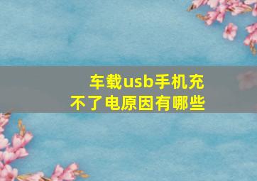 车载usb手机充不了电原因有哪些