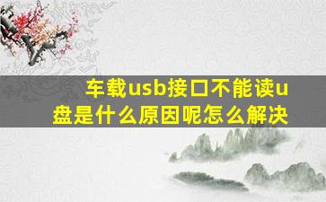 车载usb接口不能读u盘是什么原因呢怎么解决