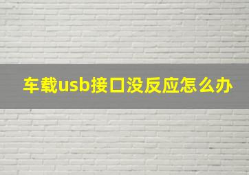 车载usb接口没反应怎么办