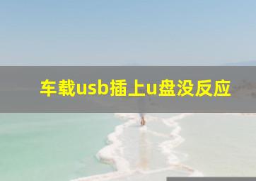 车载usb插上u盘没反应