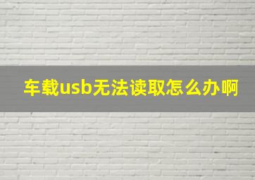 车载usb无法读取怎么办啊