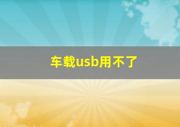 车载usb用不了