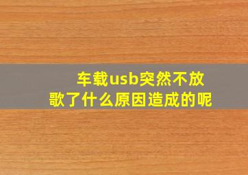 车载usb突然不放歌了什么原因造成的呢